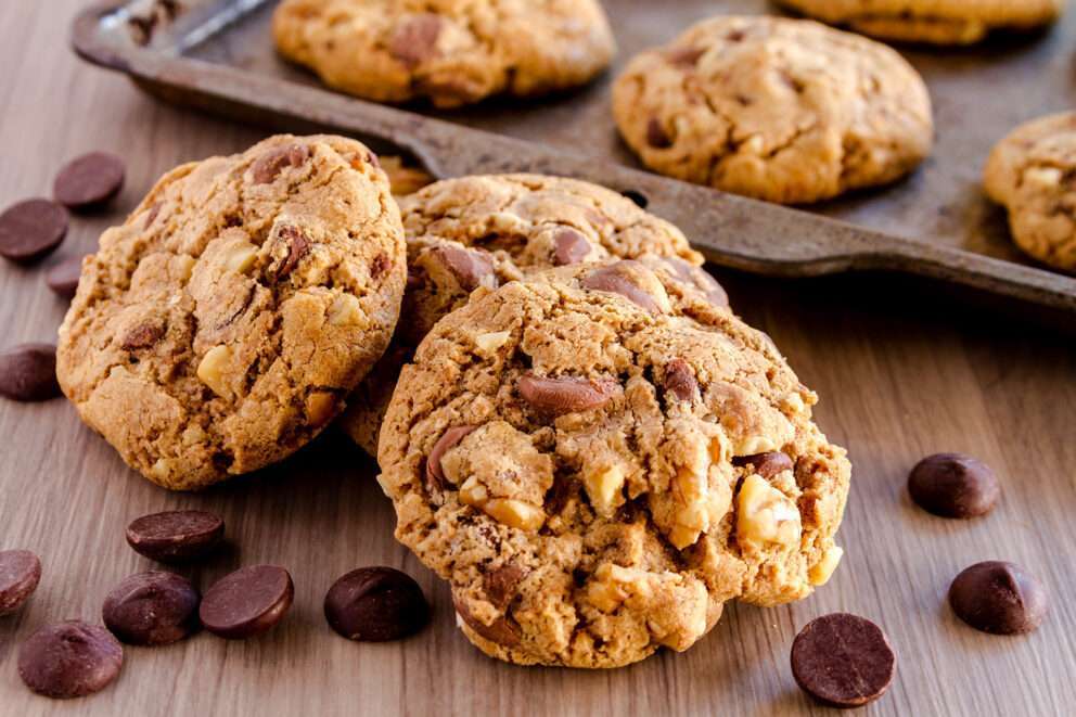 Dijk9 Cookiebeleid